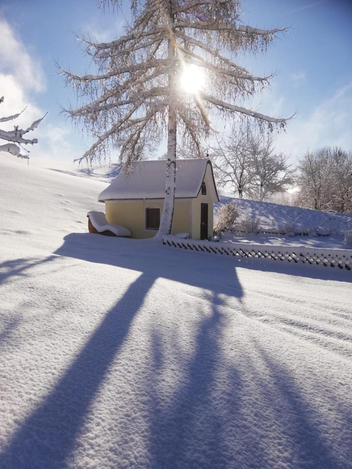Alpenchalets Oberlaiming Itter Luaran gambar